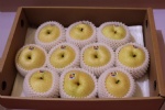 Exp.:Pear