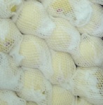 Exp.:Fresh Fruits