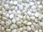 Exp.:Fresh Peeled Garlic cloves